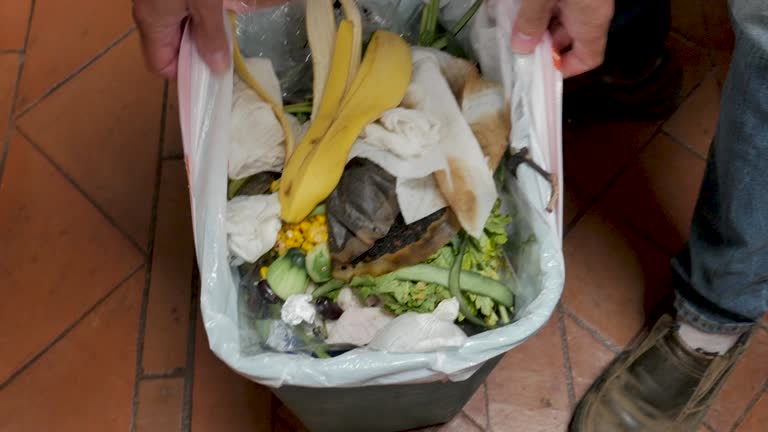 Best Same-Day Junk Removal Services  in New Market, AL